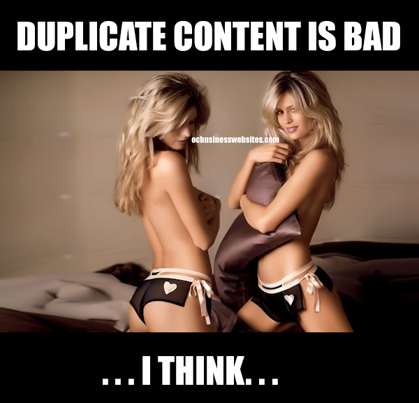 duplicate content rules in SEO